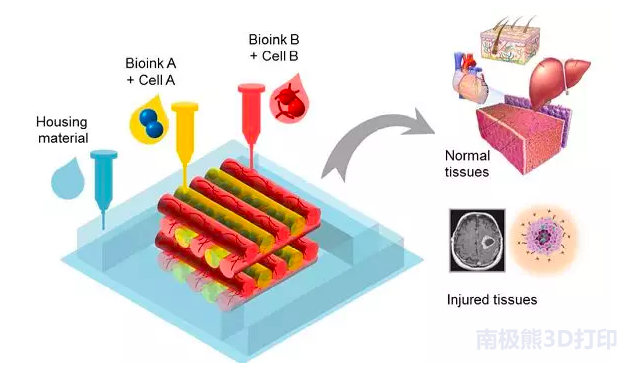 了解生物3D打印，從這篇文章開始